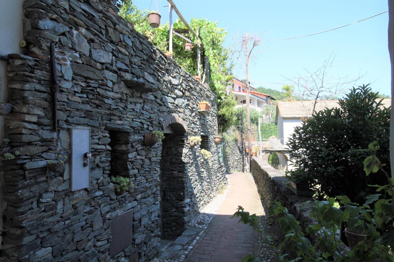 Bed and Breakfast Il Rosale A Celle Ligure Exterior foto