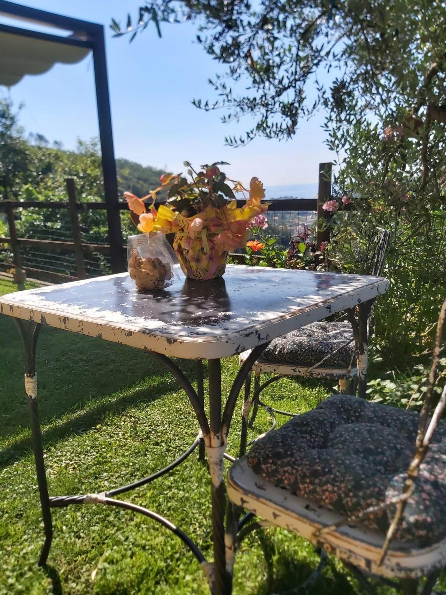 Bed and Breakfast Il Rosale A Celle Ligure Exterior foto